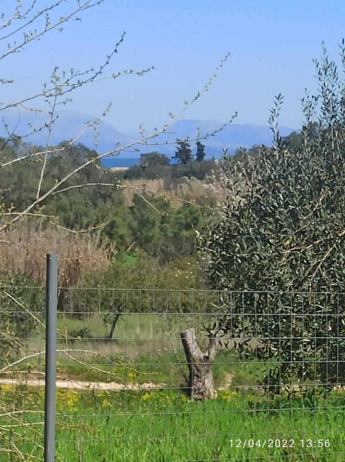 Corfu Oasis Studio Neochorakion Extérieur photo