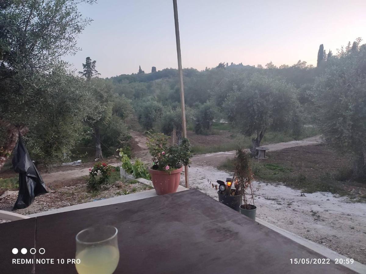 Corfu Oasis Studio Neochorakion Extérieur photo