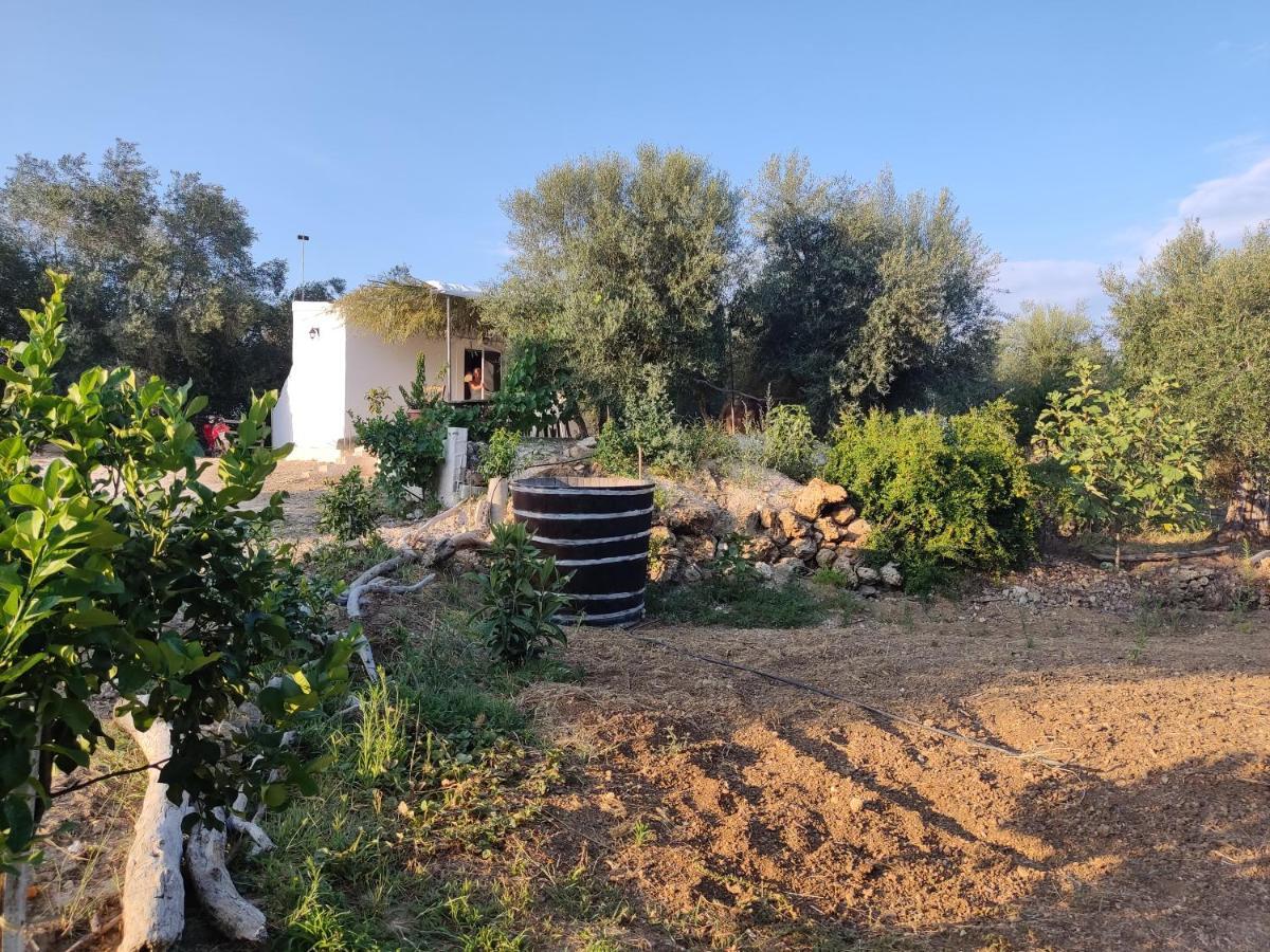 Corfu Oasis Studio Neochorakion Extérieur photo